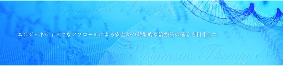 エピジェネティックなアプローチによる安全かつ効果的な治療法の確立を目指して